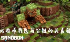 : 比特币钱包与公链的关系