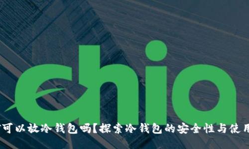 USDT可以放冷钱包吗？探索冷钱包的安全性与使用方式