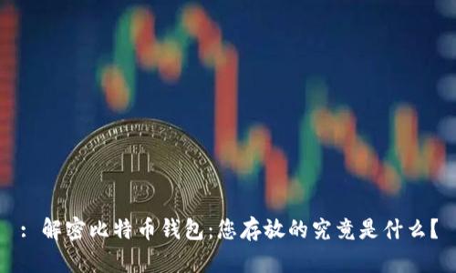: 解密比特币钱包：您存放的究竟是什么？