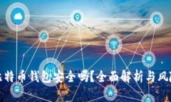 实体比特币钱包安全吗？全面解析与风险防控
