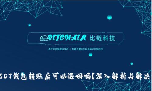 : USDT钱包转账后可以退回吗？深入解析与解决方案