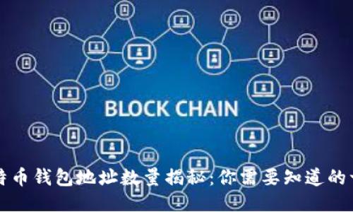 比特币钱包地址数量揭秘：你需要知道的一切