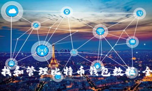 如何查找和管理比特币钱包数据：全面指南
