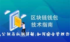 比特币钱包公钥与私钥详