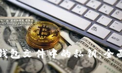 如何找到比特币钱包文件中的私钥：全面指南与实用技巧