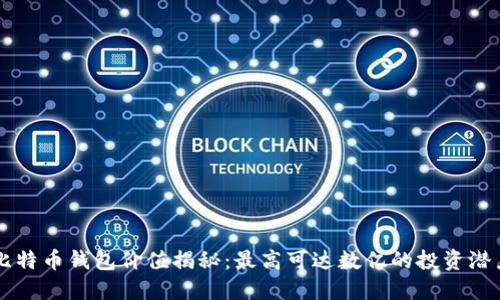 比特币钱包价值揭秘：最高可达数亿的投资潜力