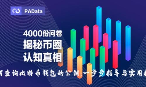 如何查询比特币钱包的公钥：一步步指导与实用技巧