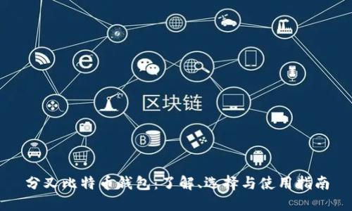分叉比特币钱包：了解、选择与使用指南