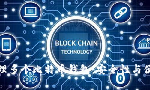 如何有效管理多个比特币钱包：安全性与便利性的平衡