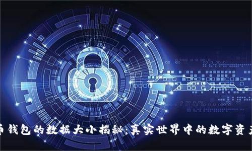 比特币钱包的数据大小揭秘：真实世界中的数字资产存储