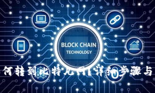 imToken币如何转到比特儿网？详细步骤与注意事项解析