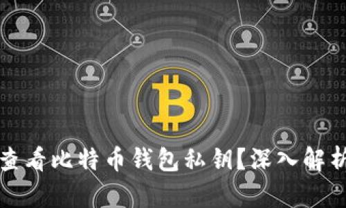 如何安全地查看比特币钱包私钥？深入解析与实用技巧
