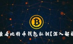 如何安全地查看比特币钱包私钥？深入解析与实