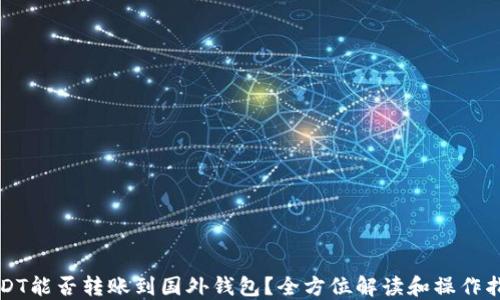 
USDT能否转账到国外钱包？全方位解读和操作指南