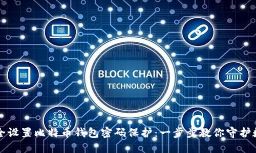 如何安全设置比特币钱包密码保护：一步步教你守护数字资产