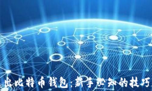 
如何安全送出比特币钱包：新手必知的技巧和注意事项