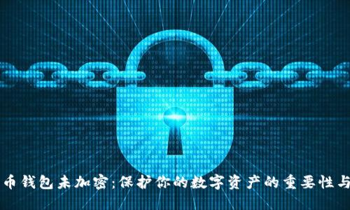比特币钱包未加密：保护你的数字资产的重要性与方法