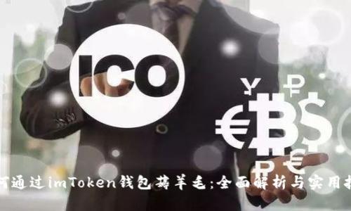 如何通过imToken钱包薅羊毛：全面解析与实用技巧