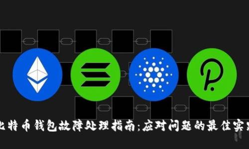 比特币钱包故障处理指南：应对问题的最佳实践