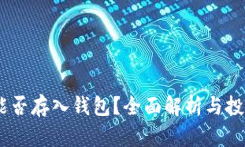 USDT能否存入钱包？全面解析与投资提示