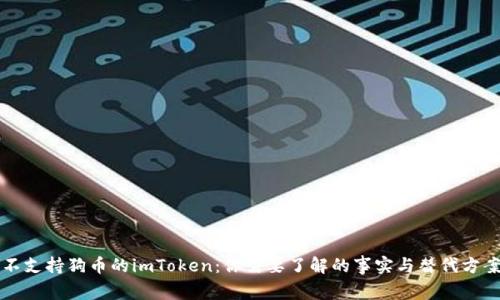 不支持狗币的imToken：你需要了解的事实与替代方案