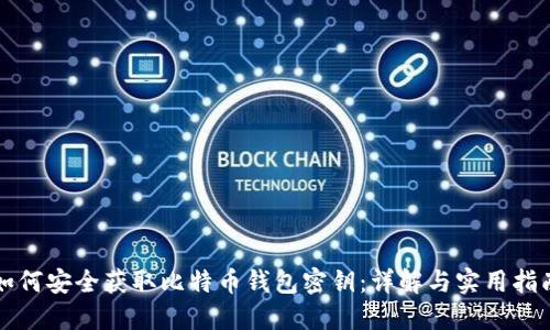 如何安全获取比特币钱包密钥：详解与实用指南