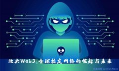 北大Web3：全球校友网络的