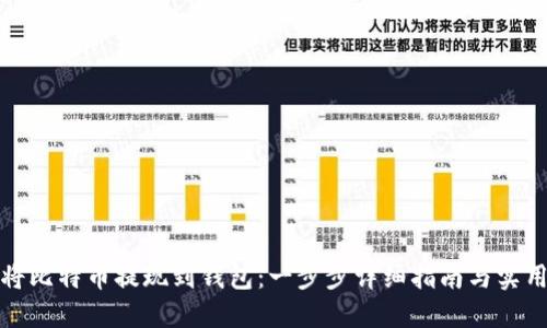 如何将比特币提现到钱包：一步步详细指南与实用攻略