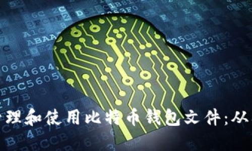 如何安全管理和使用比特币钱包文件：从入门到精通