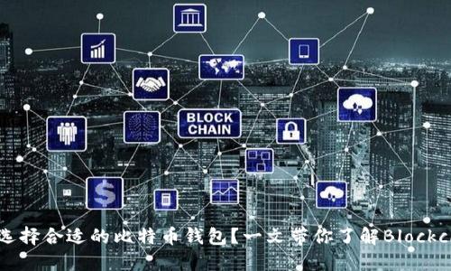 2023年如何选择合适的比特币钱包？一文带你了解Blockchain及其应用