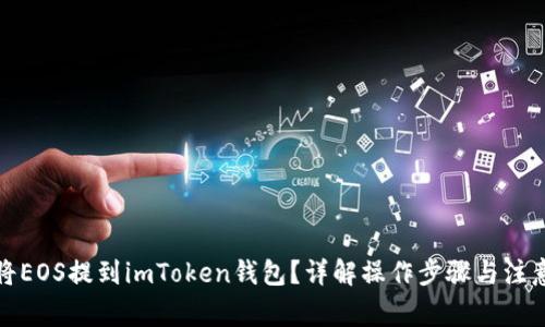 如何将EOS提到imToken钱包？详解操作步骤与注意事项