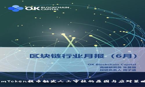 imToken提币触发人工审核的原因与应对策略