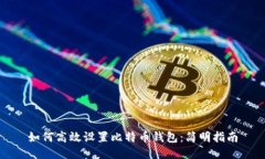 如何高效设置比特币钱包