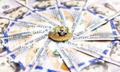 由于内容的长度要求，我