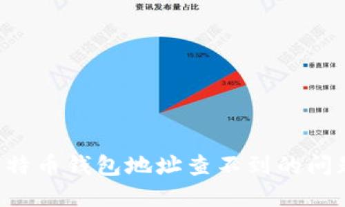 如何解决比特币钱包地址查不到的问题：全面指南