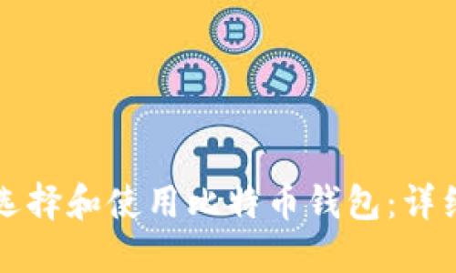 如何选择和使用比特币钱包：详细指南