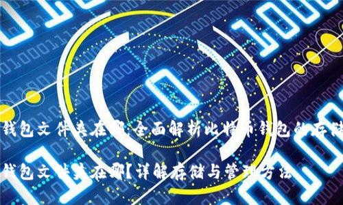 比特币钱包文件夹在哪：全面解析比特币钱包的存储与管理

比特币钱包文件夹在哪？详解存储与管理方法