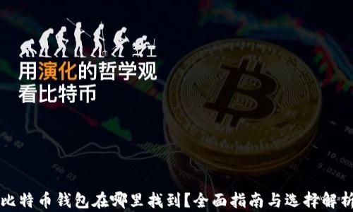 
比特币钱包在哪里找到？全面指南与选择解析