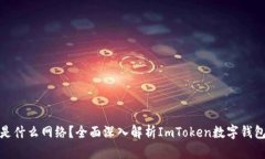 : ImToken是什么网络？全面