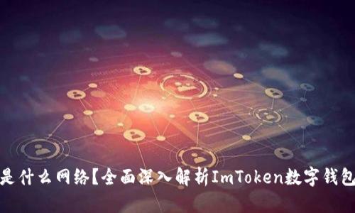 : ImToken是什么网络？全面深入解析ImToken数字钱包的背后技术