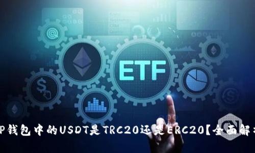 TP钱包中的USDT是TRC20还是ERC20？全面解析