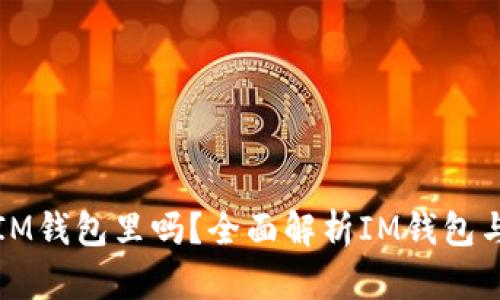 比特币可以放在IM钱包里吗？全面解析IM钱包与比特币的兼容性