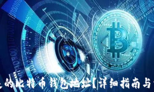 
如何找回丢失的比特币钱包地址？详细指南与常见问题解析