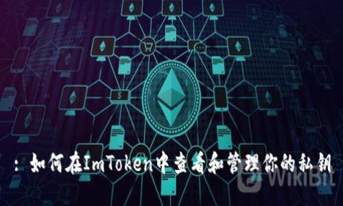 : 如何在ImToken中查看和管理你的私钥