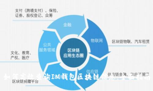 如何高效查询IM钱包区块链信息：全面指南